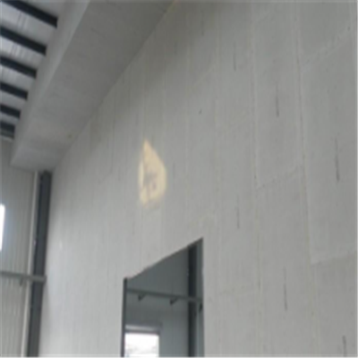 灰砂砖宁波ALC板|EPS加气板隔墙与混凝土整浇联接的实验研讨